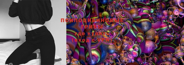 прущие грибы Зерноград