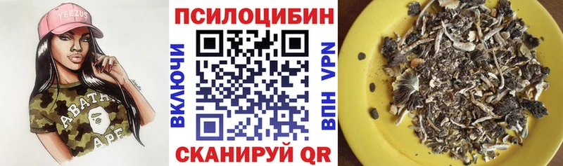 Галлюциногенные грибы Cubensis  Купить где  Кирсанов 