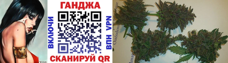 Конопля OG Kush  Купить где  Кирсанов 